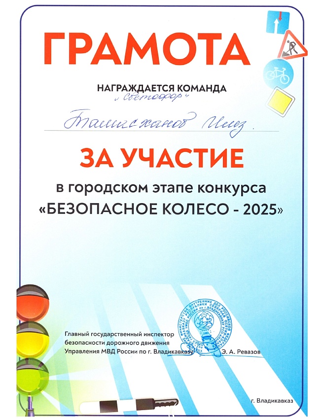 Достижения